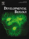 Developmental Biology